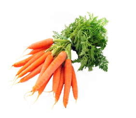 carrot