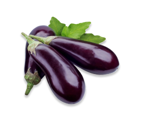 eggplant